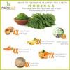 CROW Pack of 2 Tulsi Powder, Moringa Powder (500 GM Each) Combo Pack = 1 KG by B Naturall view 4