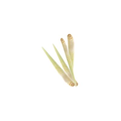Vsorce4u 100g Fresh Lemongrass Lemon Grass Cooking Leaves