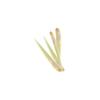Vsorce4u 100g Fresh Lemongrass Lemon Grass Cooking Leaves view 1