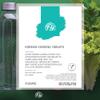 Fitness Health Korean Ginseng Extract Max Tablet 3125MG - High Strength Panax Ginseng - Cognitive Health & Endurance - Focus, Boost Energy - Easy to Swallow - (120 Tablets) view 2