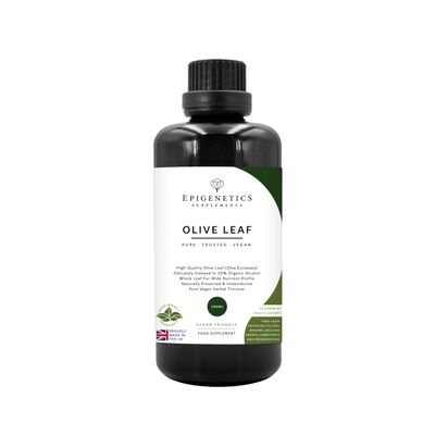 Olive Leaf Extract 100ml | Steeped Olea Europaea + Purifed Water | UV Protected Miron Glass + Dropper Lid | UK Made Vegan Friendly Liquid