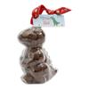 ButtonChocs Christmas Chocolate Dinosaur - Tree Rex. Belgian Milk Chocolate Gift for Christmas. view 1