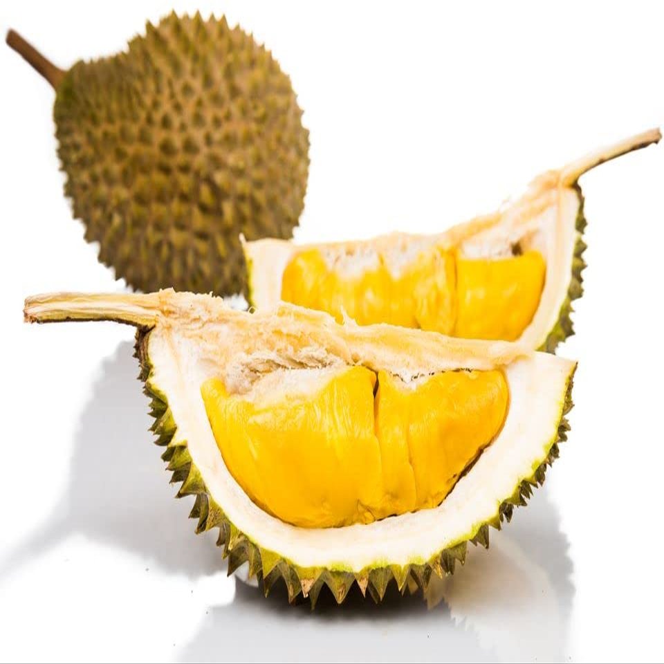 Frozen musang king durian pulp - Packed in 400g vacuum packs - Expertly sourced by My Exotic Fruit (10)