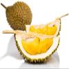 Frozen musang king durian pulp - Packed in 400g vacuum packs - Expertly sourced by My Exotic Fruit (10) view 1