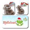 ButtonChocs Christmas Chocolate Frog - Mistletoad. Belgian Milk Chocolate Gift for Christmas. view 2