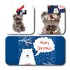 ButtonChocs Christmas Chocolate Teddy Bear - Beary Christmas. Belgian Milk Chocolate Gift for Christmas. view 2