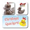 ButtonChocs Christmas Chocolate Duck - Christmas Quackers. Belgian Milk Chocolate Gift for Christmas. view 2