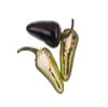 Fresh jalapeo chilli - Expertly source from Mexico by My Exotic Fruit (10kg) view 2