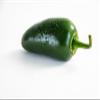 Fresh jalapeo chilli - Expertly source from Mexico by My Exotic Fruit (3kg) view 1