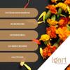 IGART Calendula 1000g 1kg | Edible Marigold Flowers | Tea | Calendula Tea | Dried Calendula Flowers | Calendula Officinalis | Loose Herbal Tea | Calendula Petals | Dried Marigold Flowers view 3