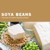 1kg SOYA Beans Lactose free High Protein view 2