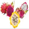 Fresh dragon fruit selection box - white, red and yellow dragon fruit! - Expertly sourced by My Exotic Fruit view 2