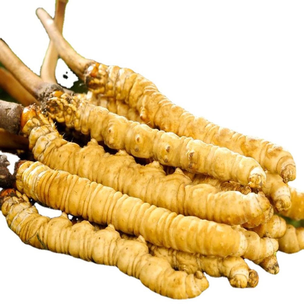cn herb 2g Cordyceps Dry Goods Are Sulfur-free and Gluten-free