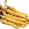 cn herb 2g Cordyceps Dry Goods Are Sulfur-free and Gluten-free view 1
