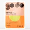 Bacillus Coagulans Probiotics for Gut Health 500 Million CFU Live Tablets in Compostable Refill Pouch Spore Probiotics Plastic Free Food Supplement Made in UK Godo view 1