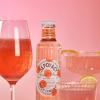 SEPOY & CO. Refreshing Peach Lemonade - 12 x 200ml | Low Calorie, Less Sugar, Ready To Drink | Pure Himalayan Water & 100% Natural Ingredients view 4