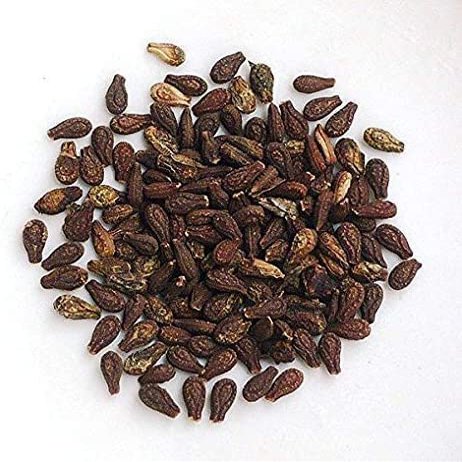 CROW Tridev ayurveda Natural Shivlingi Beej, 100 gm