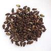 CROW Tridev ayurveda Natural Shivlingi Beej, 100 gm view 1