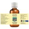 Devprayag Pure Thyme Essential Oil (Thymus vulgaris) Natural Therapeutic Grade Steam Distilled 15ml (0.50 oz) view 2
