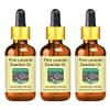 Devprayag Pure Lavandin Essential Oil (Lavandula hybrida) with Glass Dropper Natural Therapeutic Grade Steam Distilled (Pack of Three) 100ml X 3 (10 oz) view 1