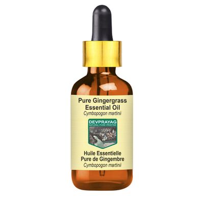 Devprayag Pure Ginger Essential Oil (Zingiber officinale) with Glass Dropper Natural Therapeutic Grade Steam Distilled 15ml (0.50 oz)