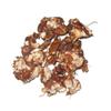 CROW Tamarind Without Seed/    / Tamarindus Indica (500 GMS) view 2
