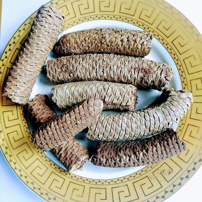 CROW GAJ PIPAL - GAJPEEPAL -  - GAJ PEEPAL - SCINDAPSUS OFFICINALIS (100 GMS)