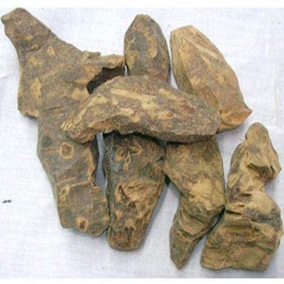 CROW CHOBCHINI - CHOPCHINI - China Root - Smilax GLABRA (1 Kg)