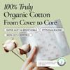 Inertia Organic Pads for Women Regular Absorbency (40 Count) - The Most Organic Pads with The Best Absorbency, NO Petroleum-Based microplastic, Chlorine (Pack of 4) view 2