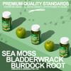 Healthier Options Irish Sea Moss Gummies with Bladderwrack & Burdock Root 5680 Mg | 60 Gummies | Apple Flavour | Vitamins & Minerals | Organic, Natural, Vegan, Gluten Free, Non GMO, High Strength view 2
