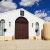 PALACIO DE LOS OLIVOS - Spanish Extra Virgin Olive Oil (Arbequina Variety) - 3 Litre Tin view 4