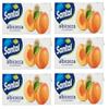 6 x Parmalat Santl Albicocca Apricot Juice Fruit Juice Refreshing Drink Brik 3 x 200 ml view 1