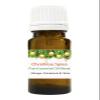 10ml Christmas Spice Pure Essential Oil Blend - Orange, Cinnamon & Clove view 1