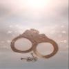 Alandra Party RG Rose Gold Zinc Metal Hand Cuffs, One Colour view 1