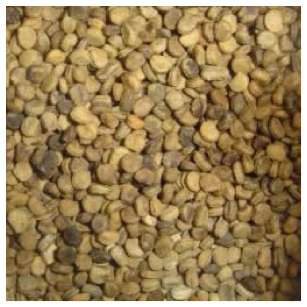 Semi di GERMINAZIONE: 10 Stratifizierte Amerikanische Wilde Ginseng SAMT Frhling Einpflanzen