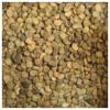 Semi di GERMINAZIONE: 10 Stratifizierte Amerikanische Wilde Ginseng SAMT Frhling Einpflanzen view 1