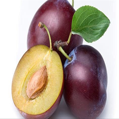 10 pezzi di Albero da frutto di cachi