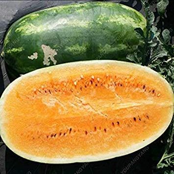 30 / Bag Super Big Semi dell'anguria Dolce Sapore di Frutta Verdura e Semi Giallo Delicious WatermelonSeeds