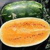 30 / Bag Super Big Semi dell'anguria Dolce Sapore di Frutta Verdura e Semi Giallo Delicious WatermelonSeeds view 1