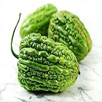 Germinazione I Semi: Semi di Melone Amaro - Grande Top - Zucca Amara - 10 sementi biologiche