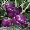 200 pc/Sacchetto di Pepe Semi di Peperoncino Rosso di Verdure fresche Rare Carolina Reaper Pepper Semi di ortaggi e Frutta Semi per Giardino di casa 12 view 1