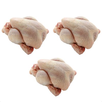 Poussins From Urban Merchants, Fresh, Tender And Juicy Chicken, Pack of 3