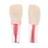 Baokuan 5pcs Resin Dental Endodontic Tooth Model Endo Root Canal Files Pulp Practice Study Endo Training Tooth Rct Demo Student Teaching view 2