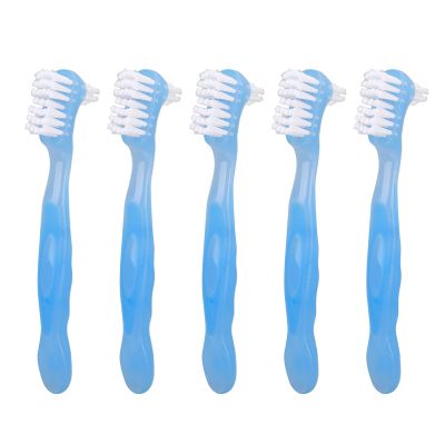 Denture Brush, Double Sided Plaque Remover Denture Cleaning Brush Safe for Your Daily Life (Blue)