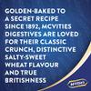 McVitie's Original Digestive Biscuit Twin Pack (2 x 360g) view 4