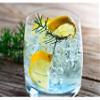 8 Pack - FruttaMax Tonic Syrup  Bitter Drink Mixer with Low Sugar | Ideal for Gin & Tonic, Soda Makers & Cocktails | Suitable for soda Machine 8x500ml view 3