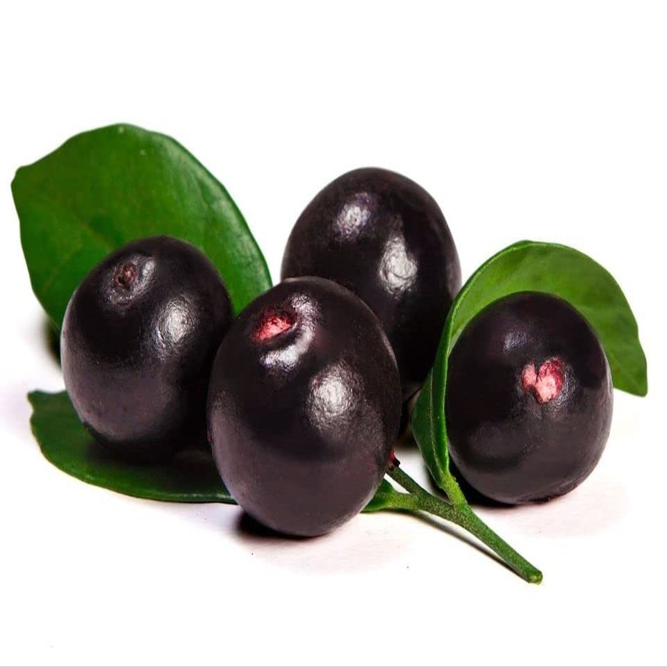 Acai fruit pulp - frozen - packed in 100g sachets - expertly sourced by My Exotic Fruit (5 x 100g)