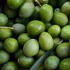 Premium Quality Nocellara Olives from Sicily, Large Italian Green Olives with Stone, Sweet Buttery Flavour, in Brine, Tub of 5kg, Drained Weight of 3.5kg view 4