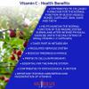 Nutrilus Natural Vitamin C Capsules from Acerola Cherry 500mg Extract - High Bioavailability Supplement - not Ascorbic Acid - Fruit and Herbs Extracts - not Tablets (120 Capsules) view 4