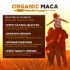 MySuperfoods Organic Maca Premium 4 Root Powder 1kg view 3